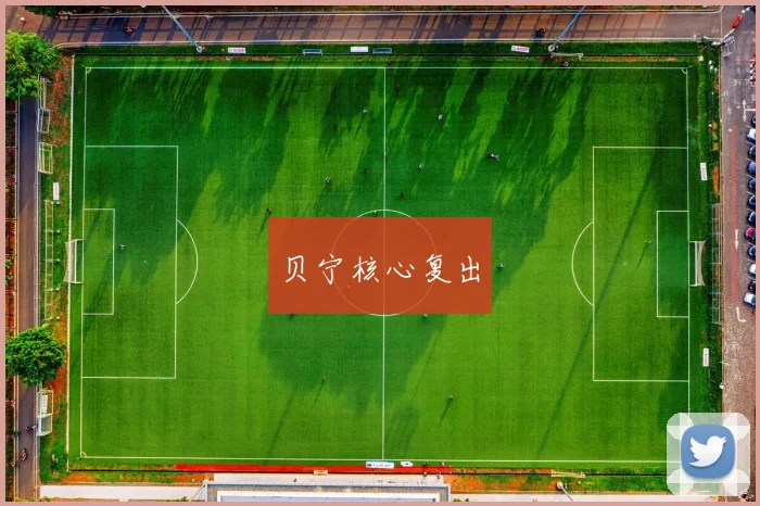 贝宁核心复出