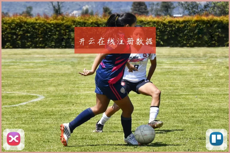 开云在线注册数据