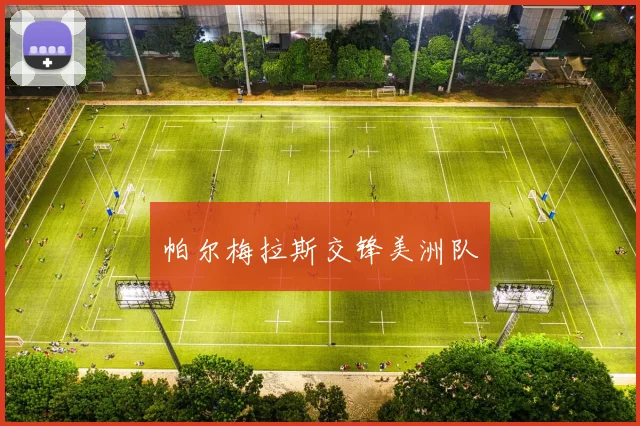 帕尔梅拉斯交锋美洲队