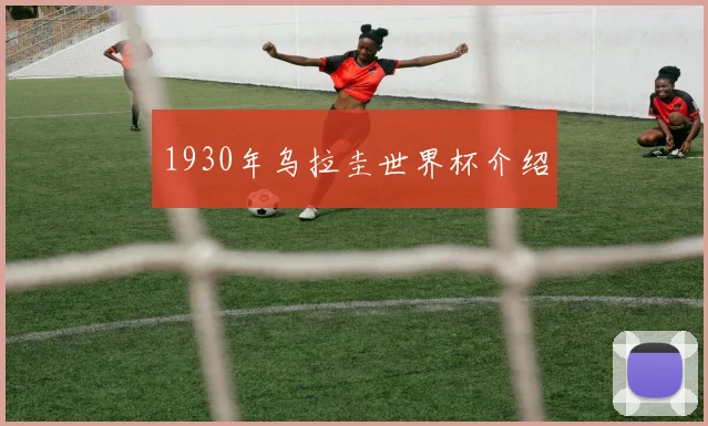 1930年乌拉圭世界杯介绍