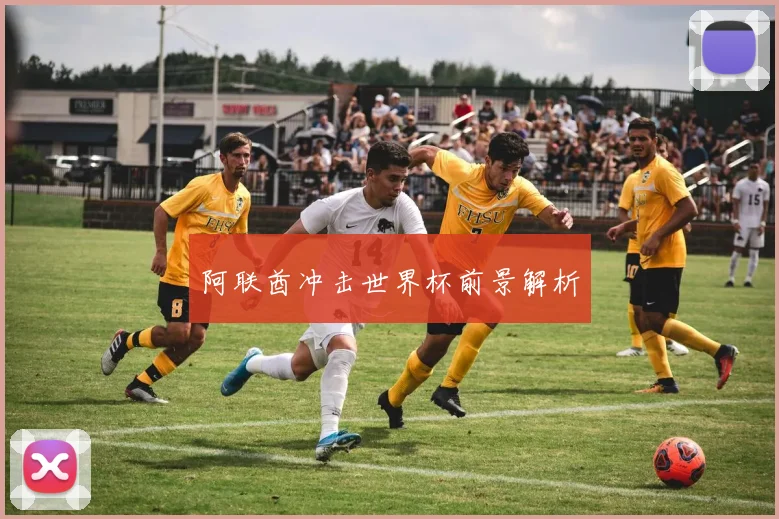 阿联酋冲击世界杯前景解析