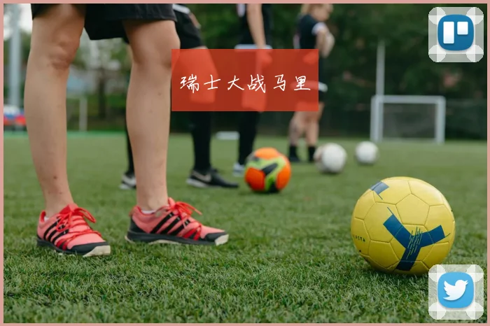 瑞士大战马里
