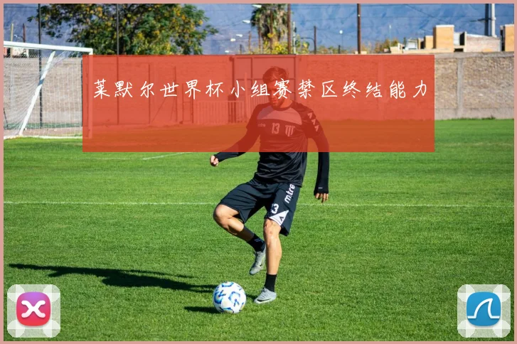莱默尔世界杯小组赛禁区终结能力