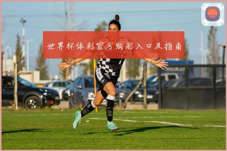 世界杯体彩官方购彩入口及指南