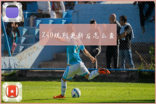 Z40规则更新后怎么查