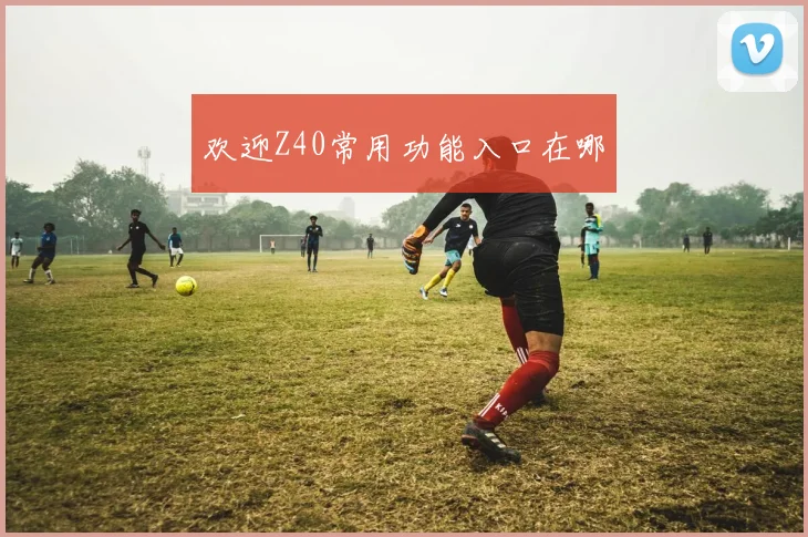 欢迎Z40常用功能入口在哪