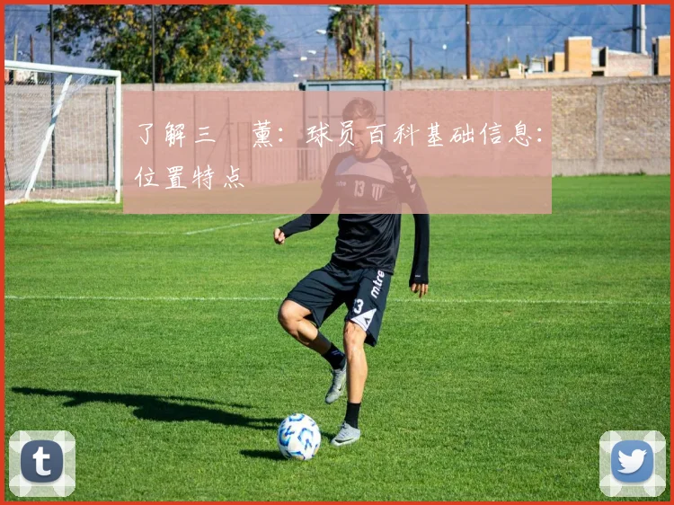 了解三笘薰:球员百科基础信息:位置特点