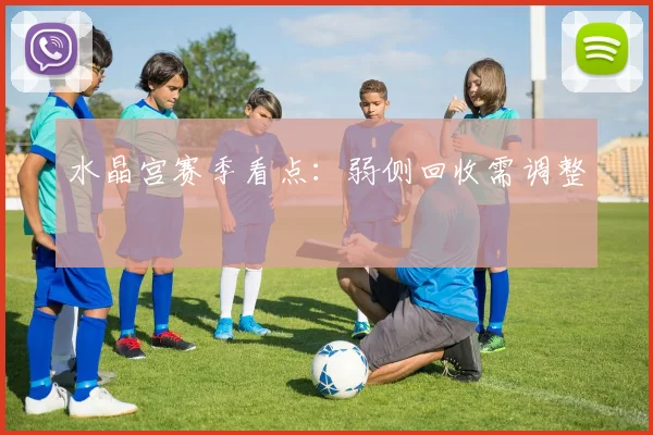 水晶宫赛季看点:弱侧回收需调整