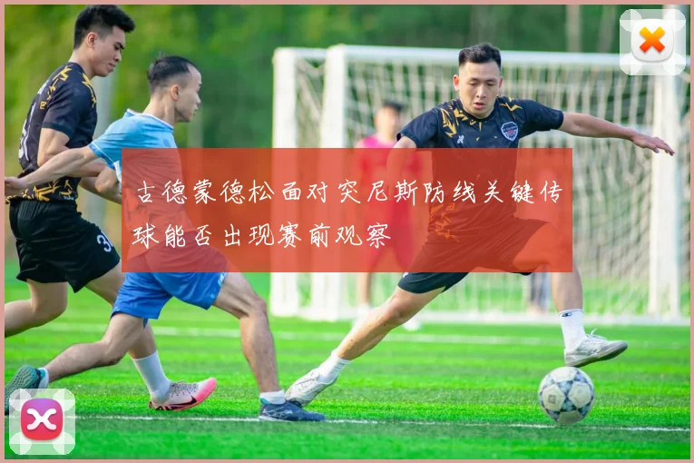 古德蒙德松面对突尼斯防线关键传球能否出现赛前观察