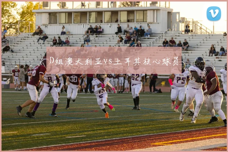 D组澳大利亚vs土耳其核心球员