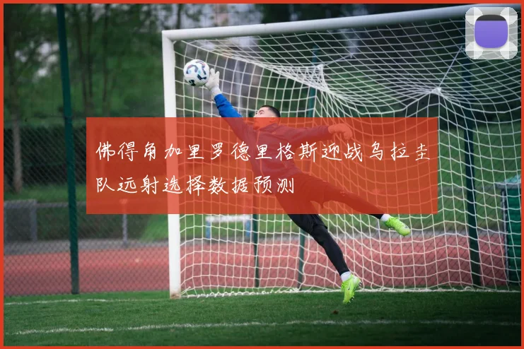佛得角加里罗德里格斯迎战乌拉圭队远射选择数据预测