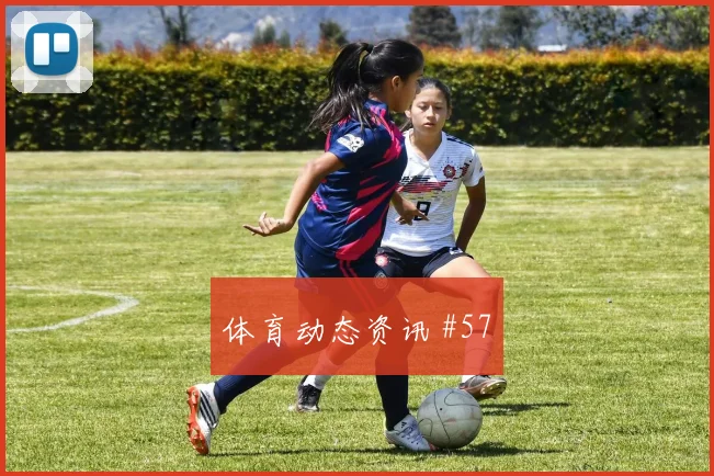 J组奥地利对阿尔及利亚传控比例