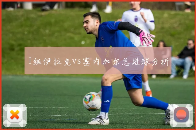I组伊拉克vs塞内加尔总进球分析