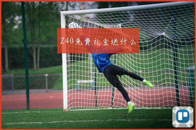 Z40免费礼金送什么