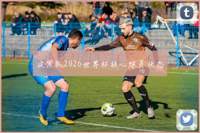 波黑队2026世界杯核心球员状态